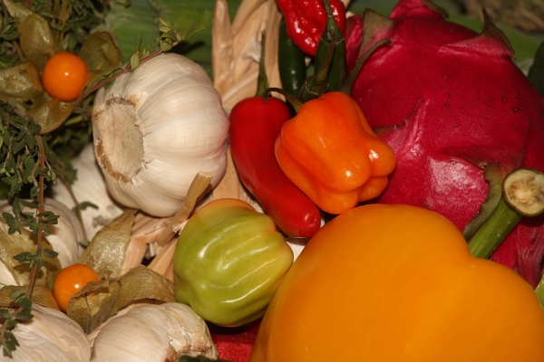 Festivel_Sinne   019.jpg